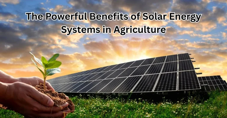 Solar panels powering irrigation systems in a large agricultural field , Farmer operating solar-powered water pump on a rural farm , Greenhouse with rooftop solar panels used for sustainable farming.