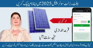 Ballot result solar panel 2025, solar panel scheme result, solar panel ballot list, solar subsidy Pakistan, Punjab solar scheme 2025, solar panel government scheme, solar panel draw result, CM Punjab solar panel scheme, solar energy program Pakistan, free solar panel list 2025,
